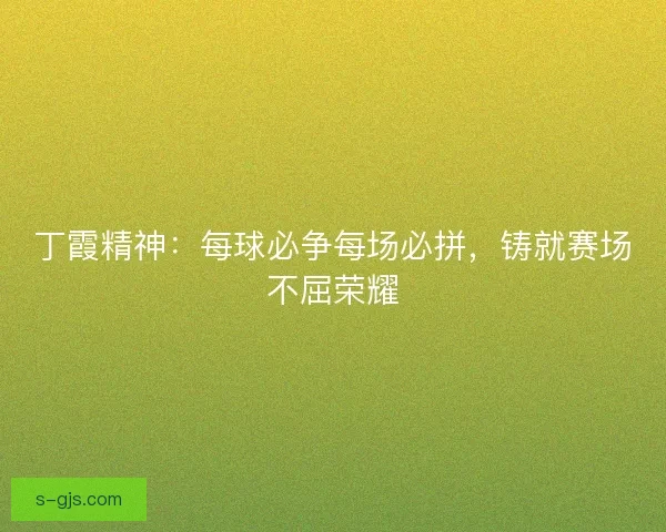 丁霞精神：每球必争每场必拼，铸就赛场不屈荣耀