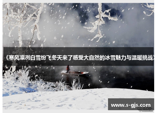 《寒风凛冽白雪纷飞冬天来了感受大自然的冰雪魅力与温暖挑战》