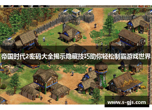 帝国时代2密码大全揭示隐藏技巧助你轻松制霸游戏世界