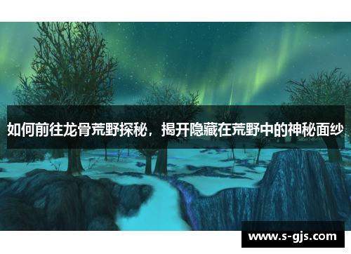 如何前往龙骨荒野探秘，揭开隐藏在荒野中的神秘面纱