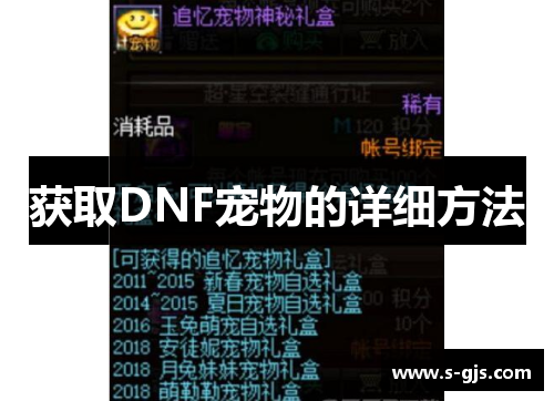 获取DNF宠物的详细方法