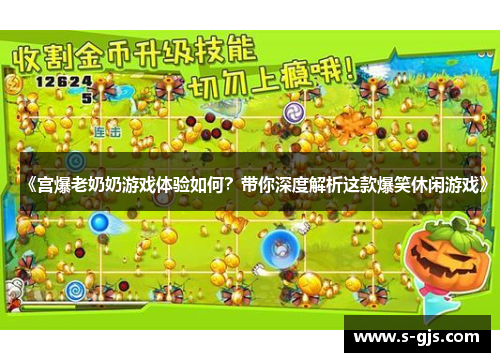 《宫爆老奶奶游戏体验如何？带你深度解析这款爆笑休闲游戏》